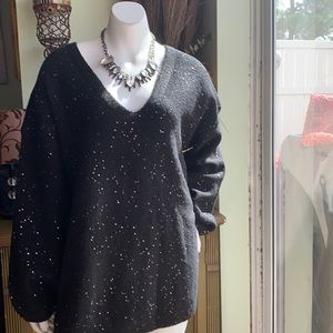 Loft Plus Sequins Double V Sweater